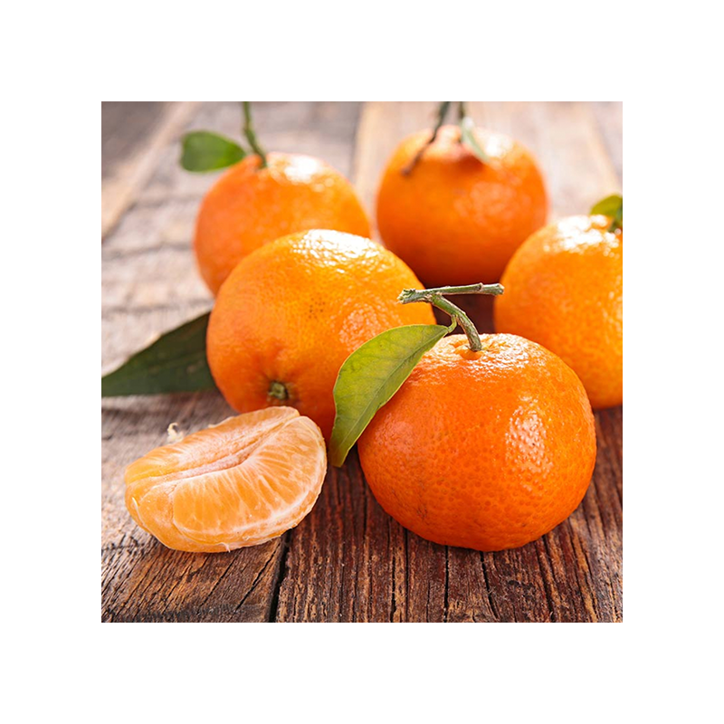 Mandarina Clementina
