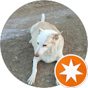 luisabarrocalgomez profile picture